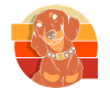 Dachshund
