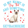 Tonkinese Cat Pet