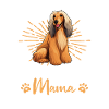 Lévrier afghan maman afghane groovy