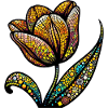 Tulip