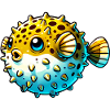 Blowfish