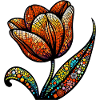 Tulip