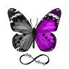 Butterfly - Stay Strong