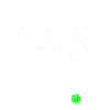 Mode Hapkido activé