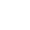 Automotive Designers
