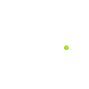 Flyball Sports canins