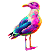 Möwe