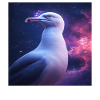 Möwe