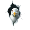 Möwe