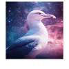 Möwe