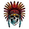 Apache Skull Indian