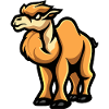 Camel Comic