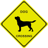 DOG CROSSING