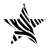 Zebra Stern star zebra