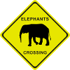 ELEPHANTS CROSSING