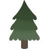 pine tree