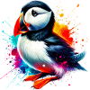 Puffin