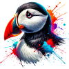 Puffin