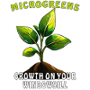 MICROGREENS GROWTH ON YOUR WINDOWSILL