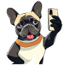 DOG SMARTPHONE