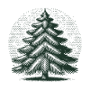 Christmas Christmas Tree Illustration