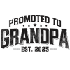 Promotion to Grandpa 2025