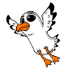 Seagull Bird