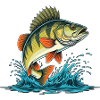Perch Fishing Predator Fishing