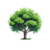 Arbre naturel