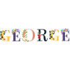 GEORGE name adorned with flowers