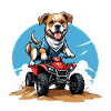 Hund Quad Dog Gave Supermoto Motorcykel
