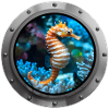 Seahorse Animal - 6
