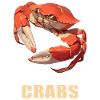Crabe Crabe