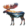 Moose