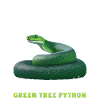 Green Tree Python