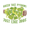 Green Tree Python