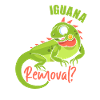 Iguana funny saying