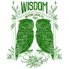 Wisdom Before Wealth – Symbolische Eulen
