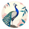 A majestic peacock