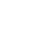 Anchor Seagulls Logo