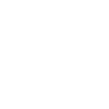 1981