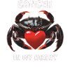 CANCER CANCER dans mon cœur