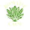 Romaine Calme Salade Humour Design
