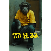 titidejaja