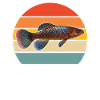 Killifisch Aquarium Fish Lovers