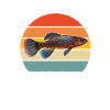 Killifisch Aquarium Fish Lovers