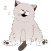 schlafende Katze