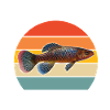 Killifisch Aquarium Fish Lovers
