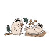 Team Marmotte