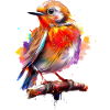 Painted Robin